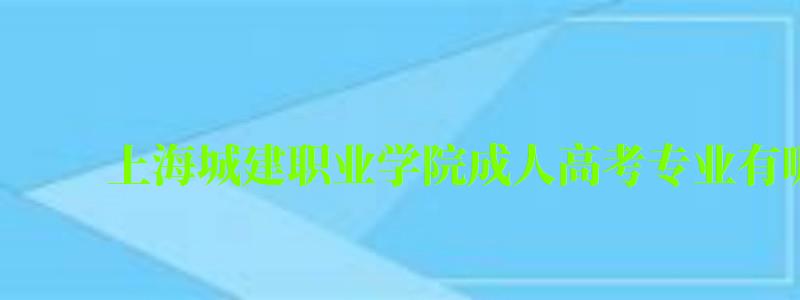 上海城建職業(yè)學(xué)院成人高考專業(yè)有哪些