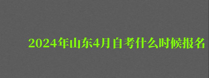 2024年山東4月自考什么時(shí)候報(bào)名