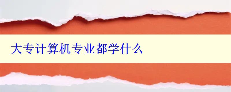 大專計算機專業都學什么