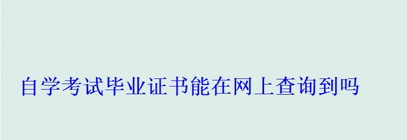 自學(xué)考試畢業(yè)證書(shū)能在網(wǎng)上查詢到嗎