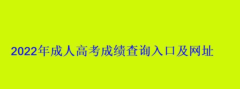 2022年成人高考成績查詢入口及網址