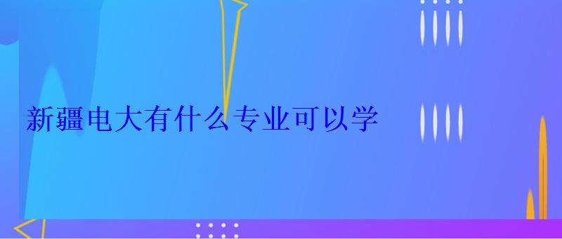 新疆電大有什么專業可以學