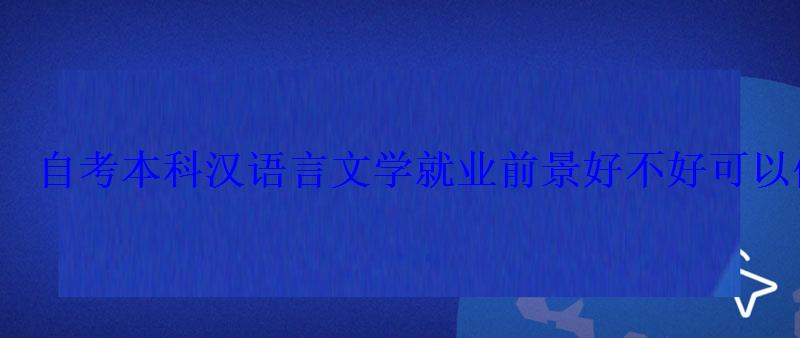 自考本科漢語言文學就業前景好不好可以做什么