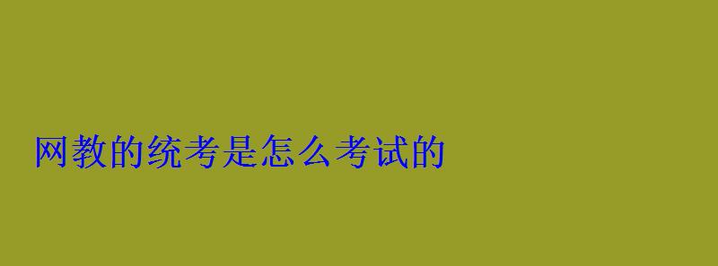 網教的統考是怎么考試的