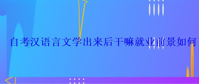 自考漢語言文學(xué)出來后干嘛就業(yè)前景如何