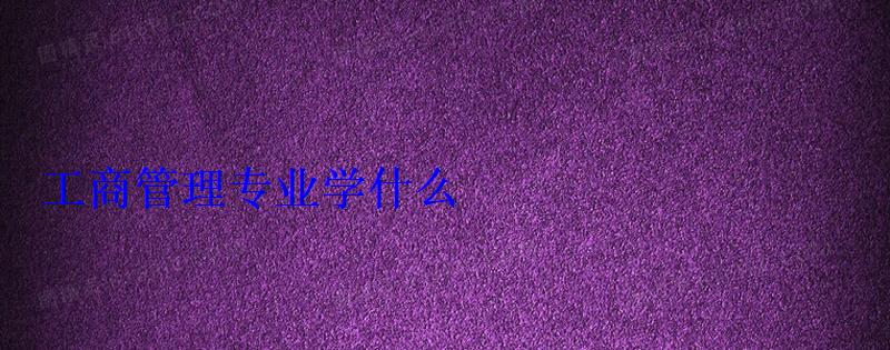 工商管理專業(yè)學(xué)什么