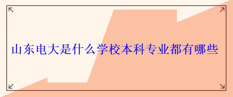 山東電大是什么學校本科專業都有哪些