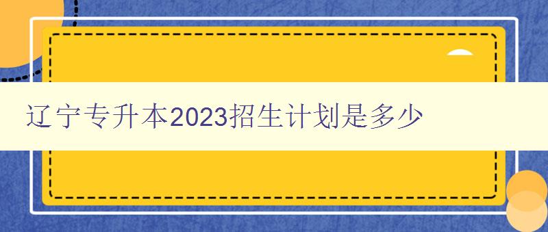 遼寧專升本2023招生計劃是多少 詳細解讀遼寧省專升本招生計劃