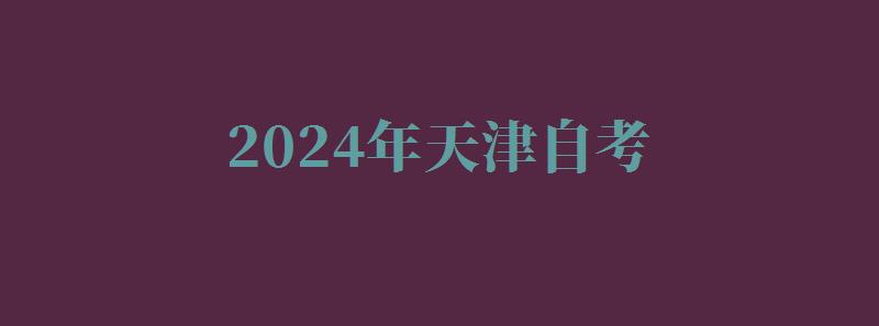 2024年天津自考