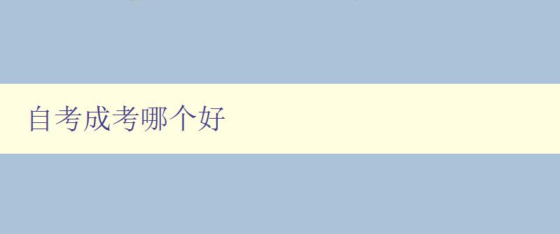 自考成考哪個好 對比自考和成考的優缺點，幫你選擇更適合自己的考試方式