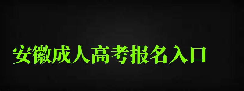 安徽成人高考報(bào)名入口