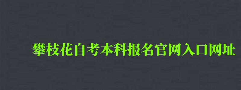 攀枝花自考本科報名官網入口網址