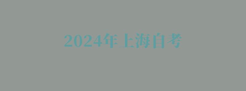 2024年上海自考