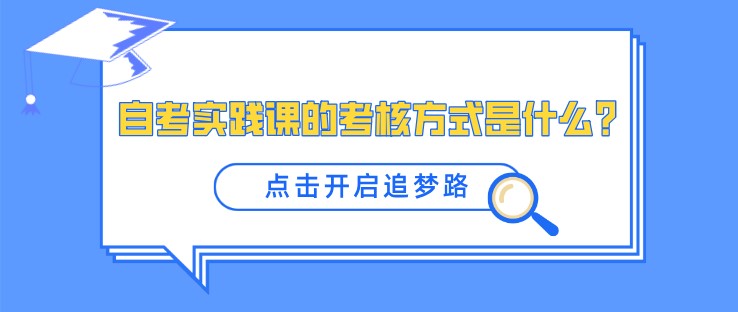 自考實踐課的考核方式是什么？